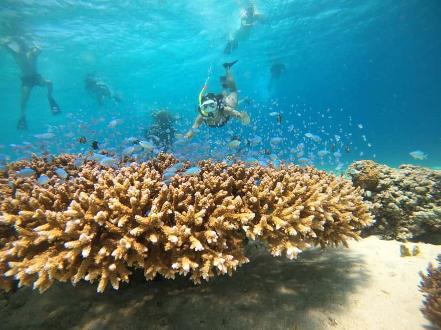 From Bali: 2D1N Gili Island Private Snorkel Boat with Hotel - Leaving Bali from Padang Bai