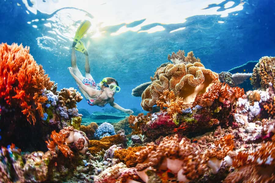 From Bali: 3 Snorkeling Spots Tour to Lembongan and Penida - From Bali to Lembongan, with the hard work handled