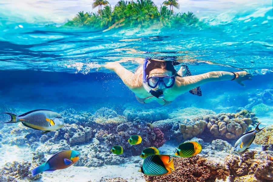 From Bali: 3 Snorkeling Spots Tour to Lembongan and Penida - Gamat Bay: a strong opening for reef life