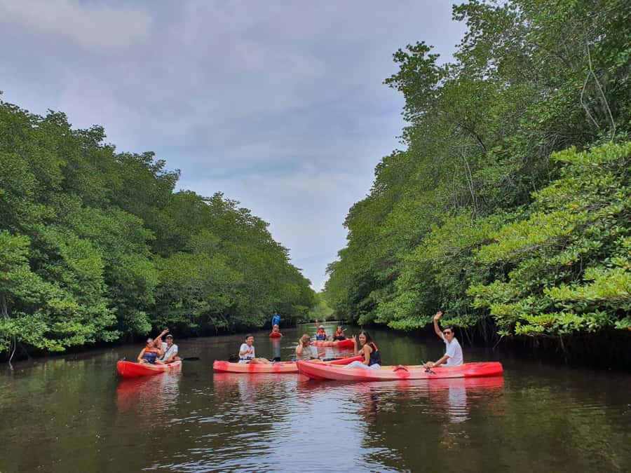 From Bali: 3 Snorkeling Spots Tour to Lembongan and Penida - A short kayak through the mangroves, or a 30-minute massage