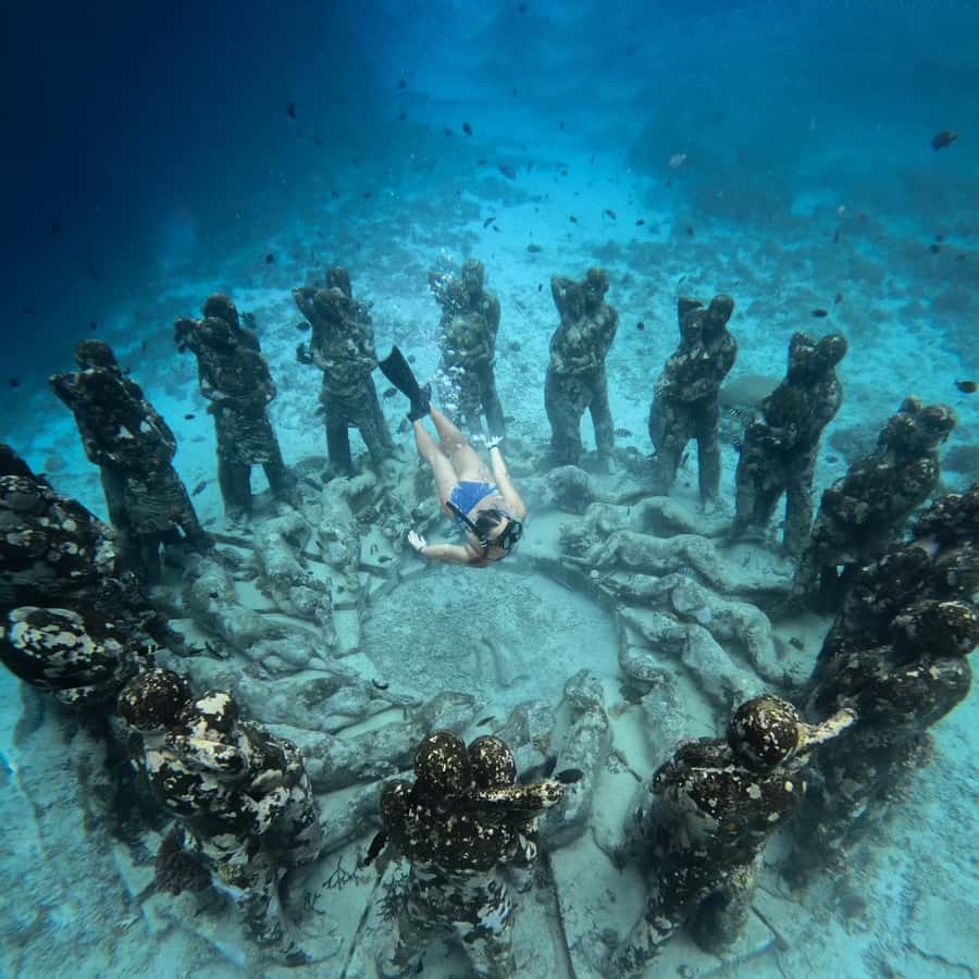 From Bali: Gili Islands Private Snorkeling Day Trip - What this $124 day trip is really buying