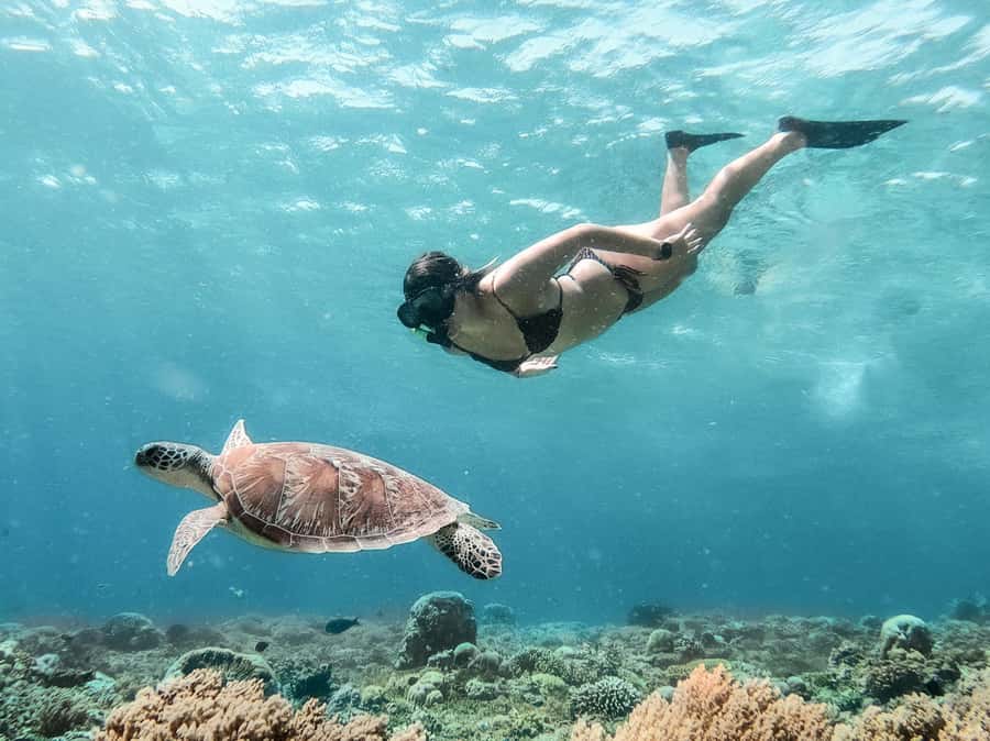 From Bali: Gili Islands Private Snorkeling Day Trip - Starting at Padang Bai and crossing the Lombok Strait