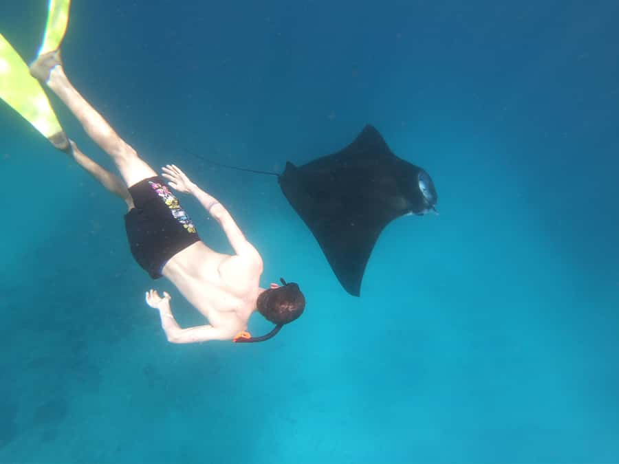 From Bali: Lembongan & Penida 2-Day Tour with Snorkeling - Why this two-island plan works