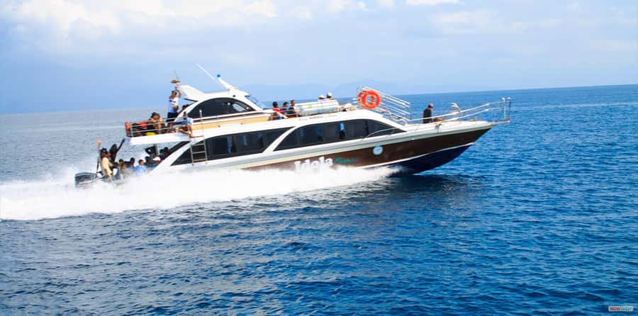 From Bali: Nusa Penida Full Day Private Snorkeling Tour - Key points to know before booking