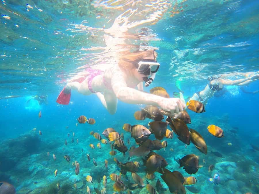 From Bali: Nusa Penida Full Day Private Snorkeling Tour - Is $85 a fair price?