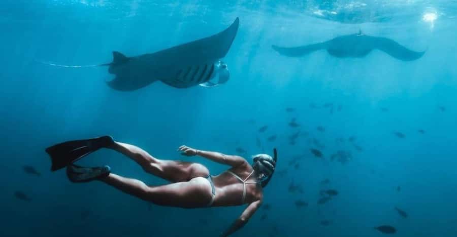 From Bali: Nusa Penida Full Day Private Snorkeling Tour - Manta Bay brings the biggest promise