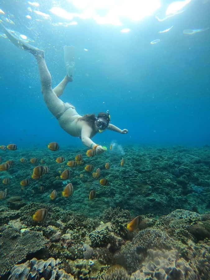 From Bali: Nusa Penida Full Day Private Snorkeling Tour - Crystal Bay offers a calmer second chance