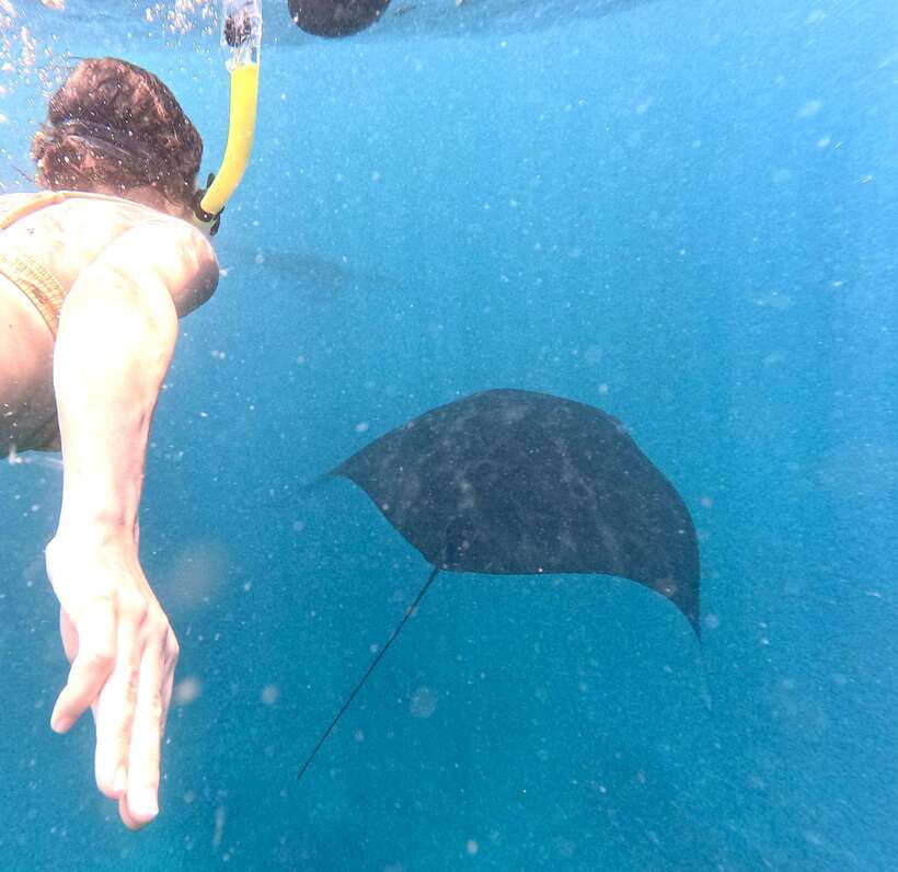 From Bali: Nusa Penida Full Day Tour and Snorkeling 3 Spots - Why this Nusa Penida day makes sense