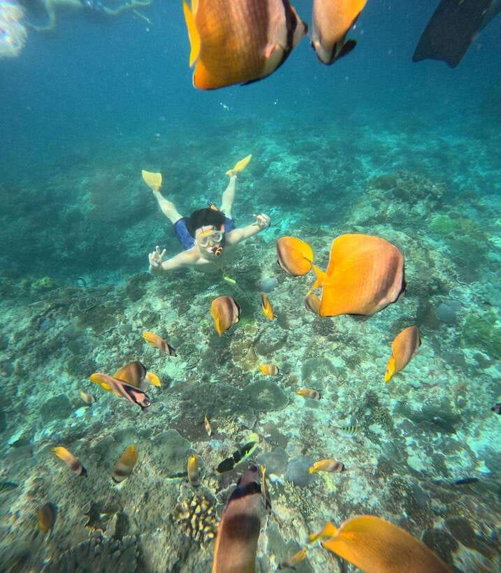 From Bali: Nusa Penida Full Day Tour and Snorkeling 3 Spots - Lunch, photos, and the small details that help