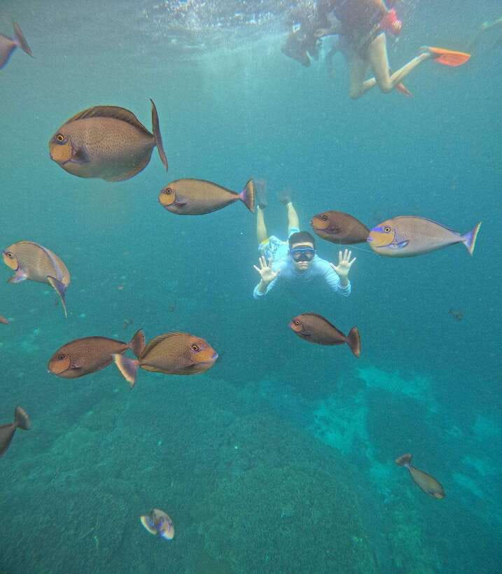 From Bali: Nusa Penida Full Day Tour and Snorkeling 3 Spots - Who should book this experience?