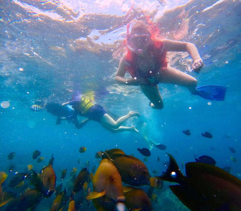 From Bali: Nusa Penida Full Day Tour and Snorkeling 3 Spots - Starting in Bali and crossing to Nusa Penida