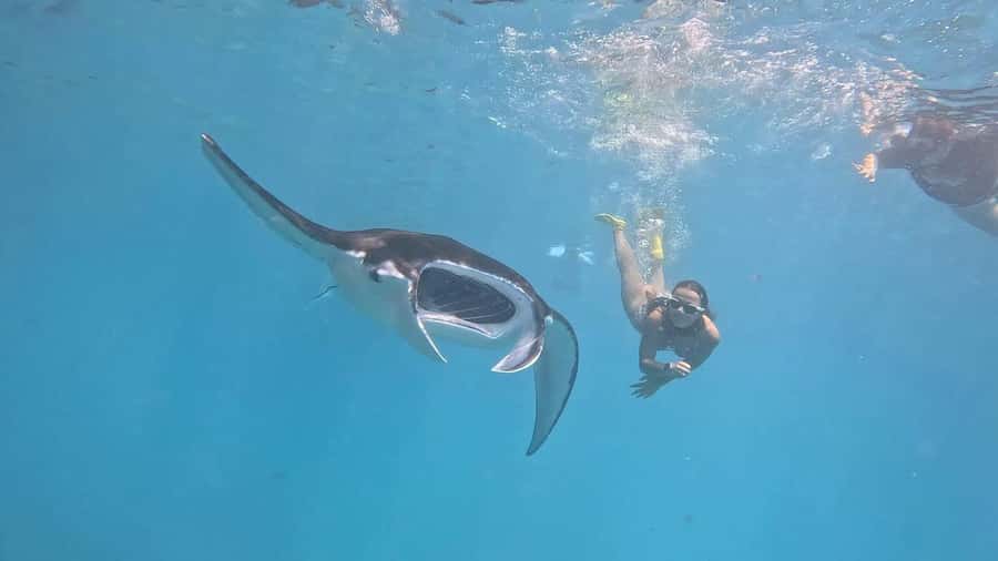 From Bali: Nusa Penida Private Snorkeling and Land Tour - Key points at a glance