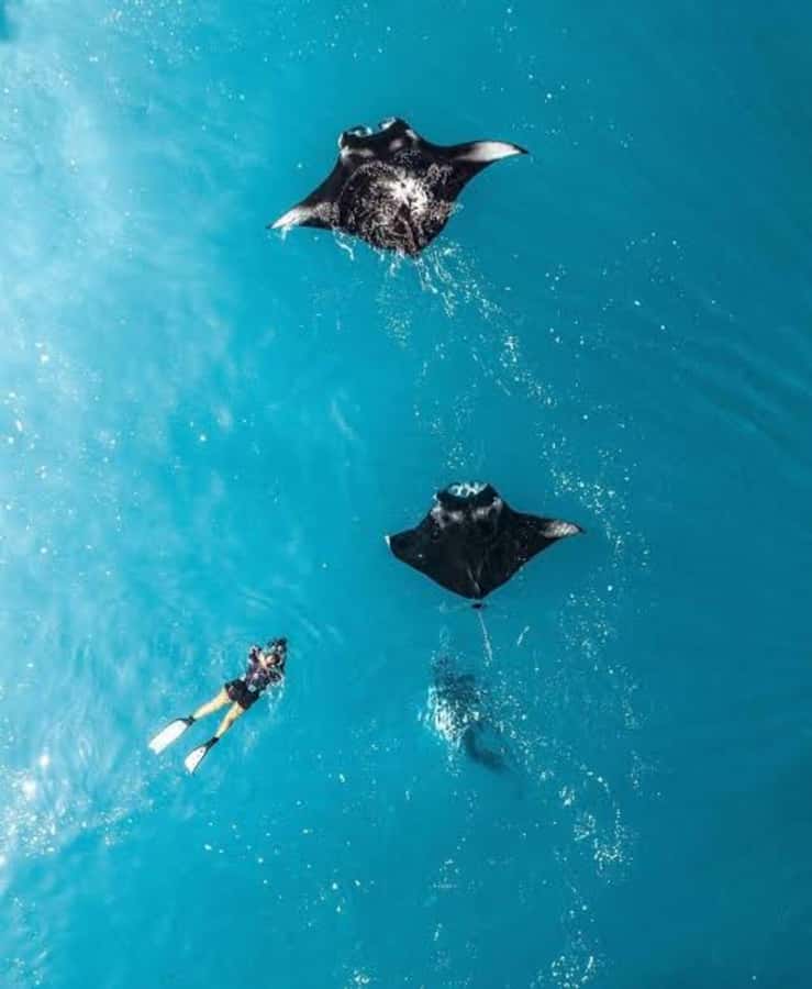 From Bali: Nusa Penida Private Snorkeling and Land Tour - What the $108 price really buys you