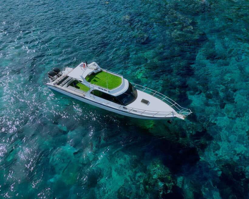 From Bali: Nusa Penida Private Snorkeling Tour with Lunch - SD Point and Wall Bay: reef time after the big animals