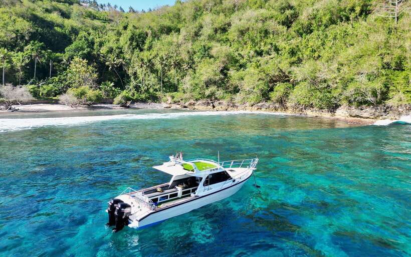 From Bali: Nusa Penida Private Snorkeling Tour with Lunch - Who will enjoy it, and who should skip it