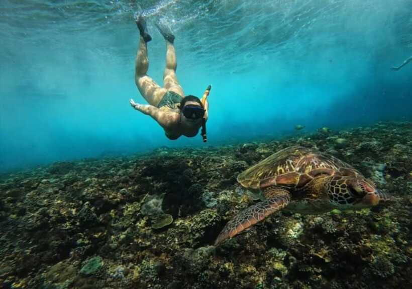 From Bali: Nusa Penida Snorkeling and West Coast Tour - Gamat Bay or Crystal Bay: Check the Exact Stop