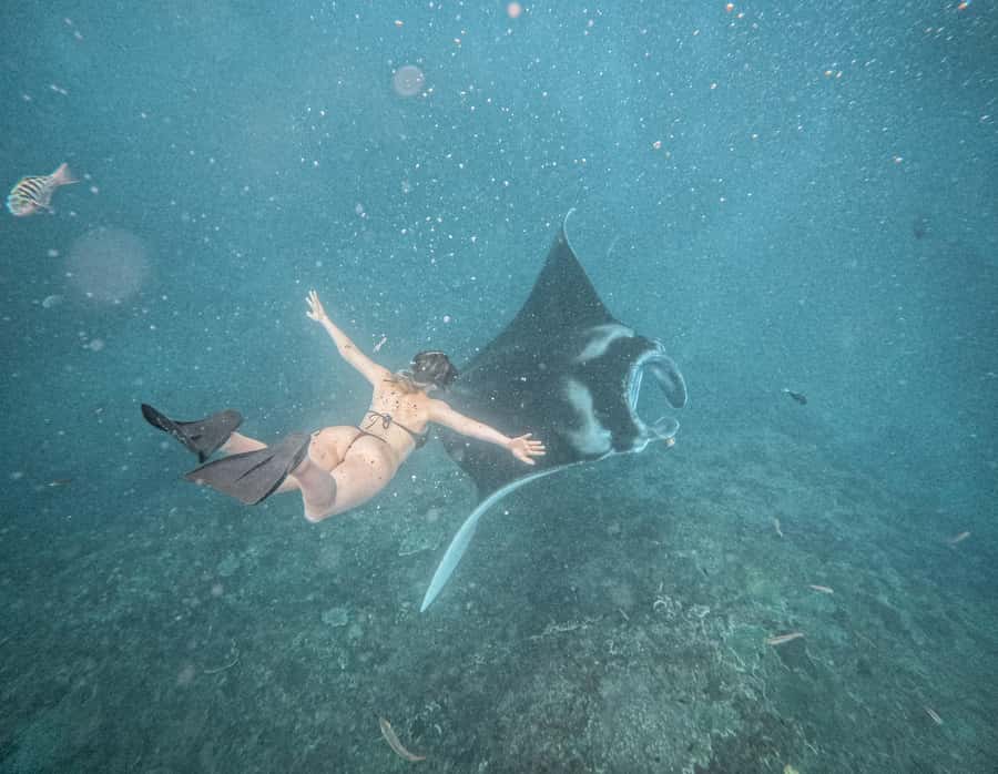 From Bali: Snorkeling 3 Spots with GoPro & West Penida Tour - Key points at a glance