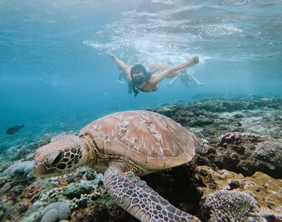 From Bali: Snorkeling at Manta Point Nusa Penida & Land Tour - Key points before you book