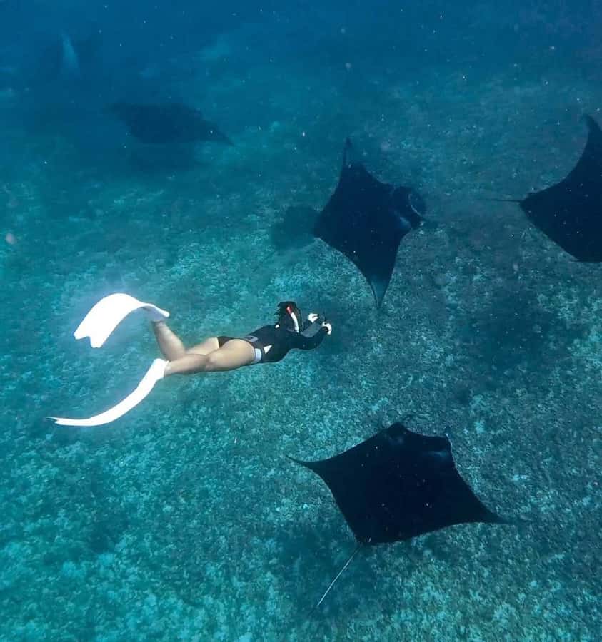 From Bali: Snorkeling at Manta Point Nusa Penida & Land Tour - Manta Point: the reason most people book