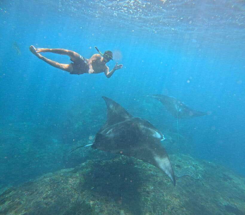 From Bali : Snorkeling & Nusa Penida Island Tour with Lunch - Leaving Bali early for Nusa Penida
