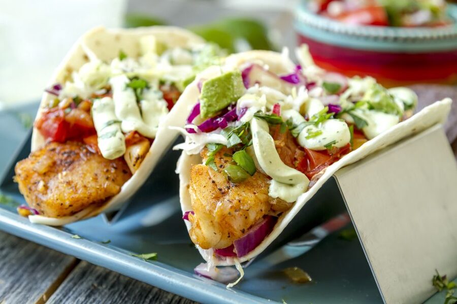 From Cabo: Snorkel with Whale Sharks in La Paz - Key points to know before you book