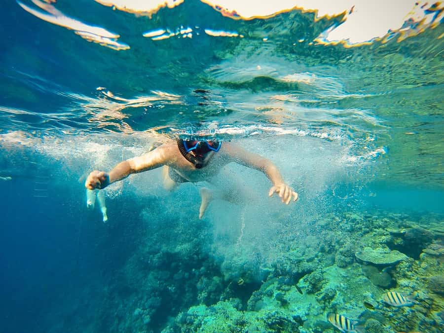 From Cairo: Snorkeling Trip on Yacht with Lunch - Key points at a glance