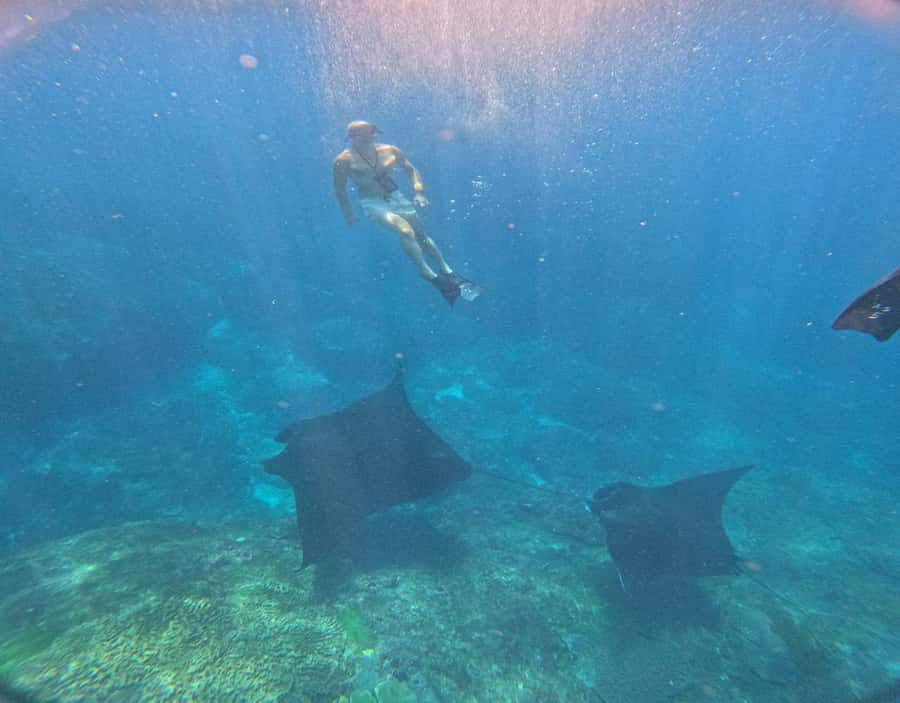 From Ceningan: Snorkeling with Manta Rays & Land Tour - Leaving Ceningan for a full day on the water