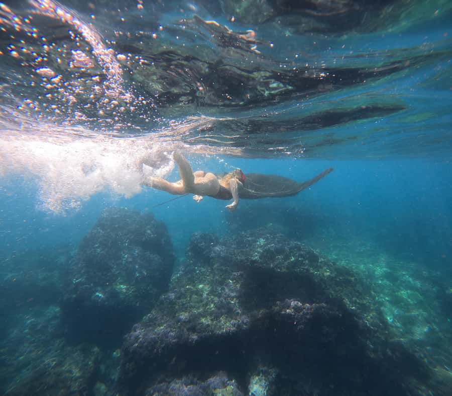 From Ceningan: Snorkeling with Manta Rays & Land Tour - What $63 gets you