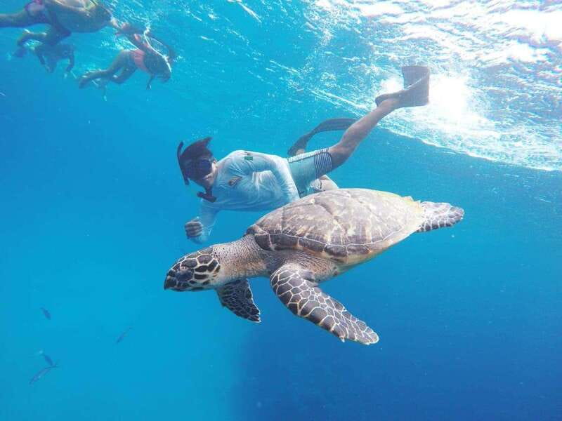 From Cozumel: 3 Reefs Boat Tour with Drinks and Snorkeling - Key points at a glance