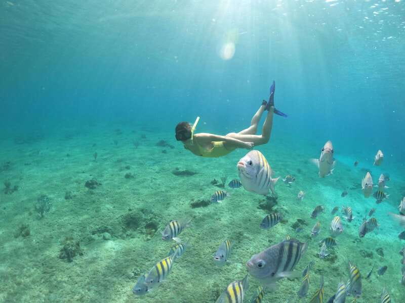 From Cozumel: 3 Reefs Boat Tour with Drinks and Snorkeling - Playa el Cielo: starfish, stingrays, and shallow water