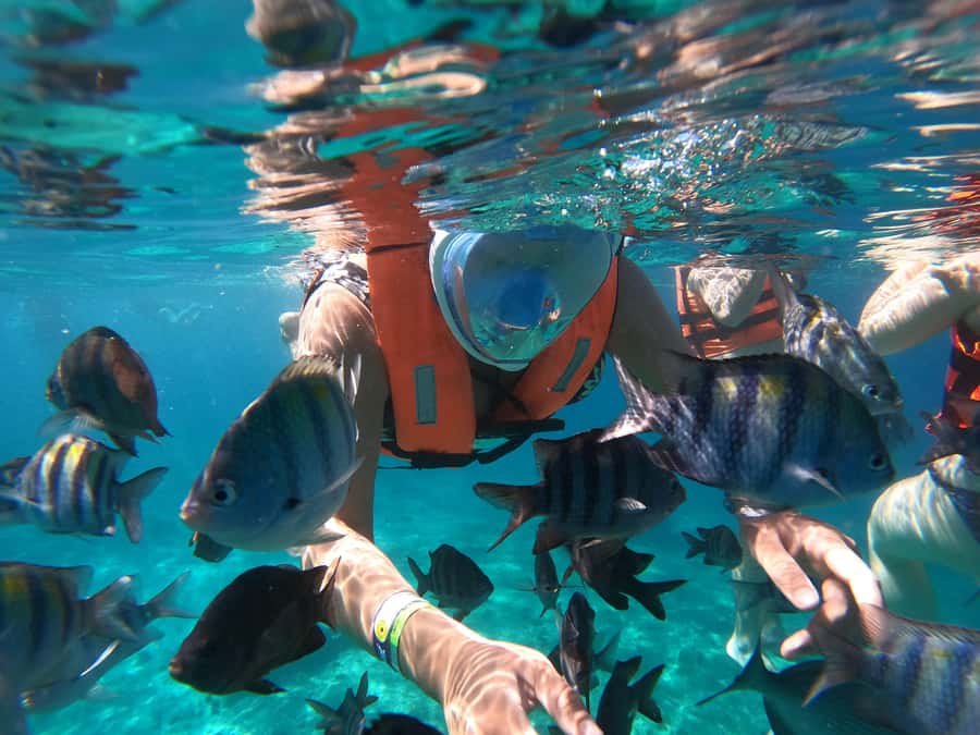 From Cozumel: Invisible Boat Snorkeling Tour - The first 30 minutes: safety briefing and coastal views