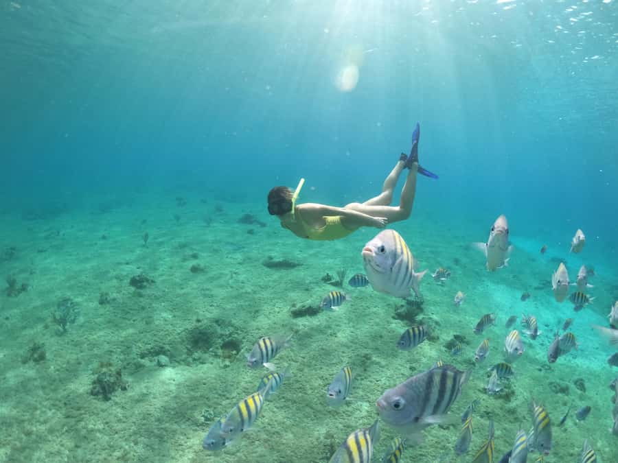 From Cozumel: Invisible Boat Snorkeling Tour - The transparent boat experience