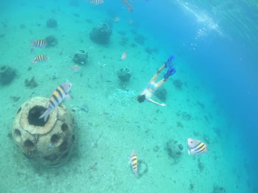 From Cozumel: Invisible Boat Snorkeling Tour - The 30-minute reef stop at Arrecifes de Cozumel National Park
