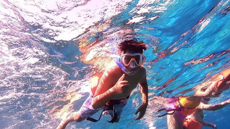 From Cozumel: Official Chankanaab Park Day Pass and Snorkel - Getting from the cruise port to Chankanaab