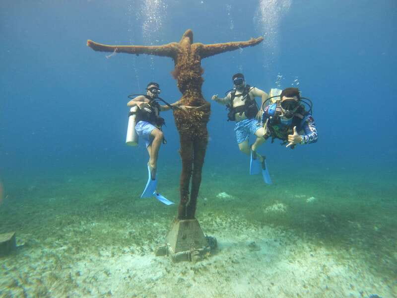 From Cozumel: Official Chankanaab Park Day Pass and Snorkel - The sea lion show adds a set time to a flexible visit