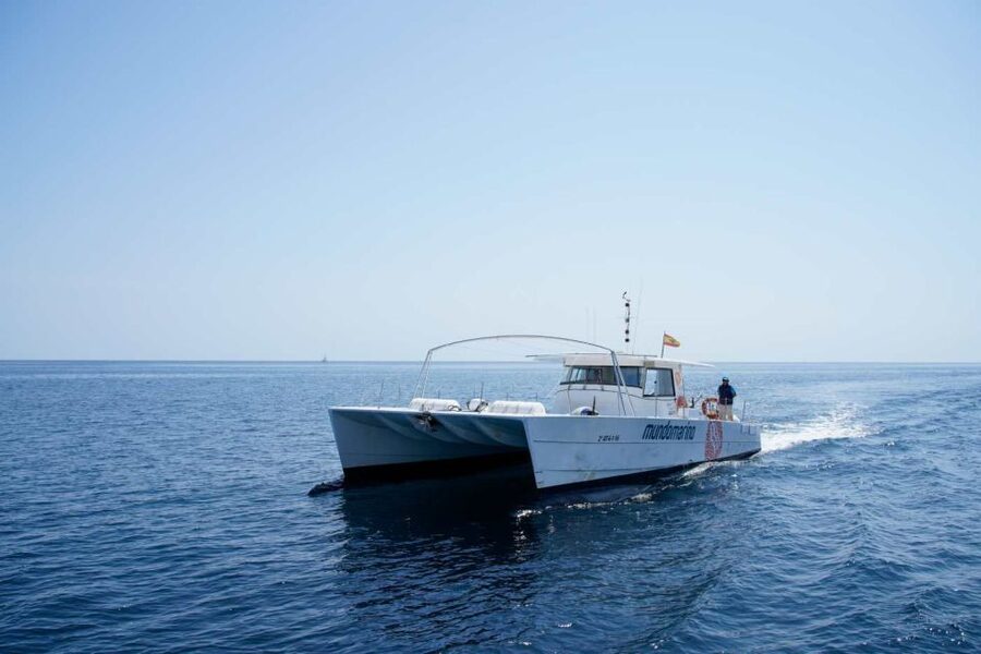 From Denia or Javea: 3 Cape Boat Excursion with Snorkeling - The swimming stop at Cala Sardinera or Cala Blanca