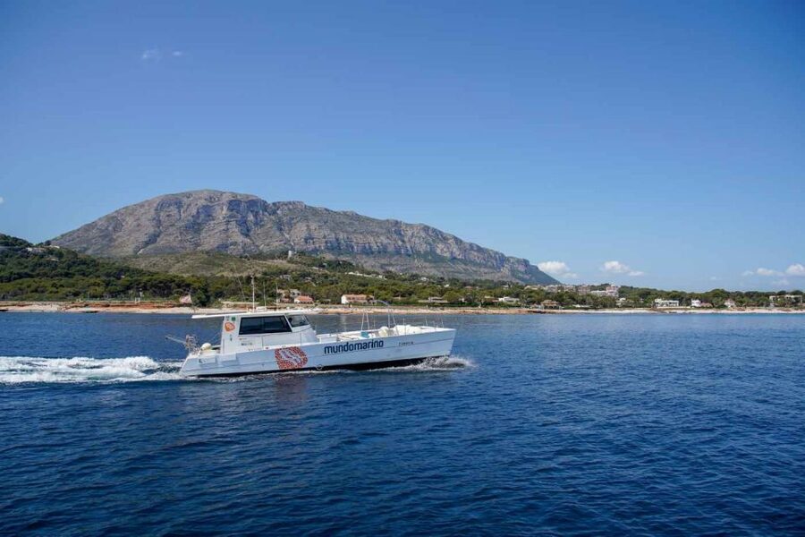 From Denia or Javea: 3 Cape Boat Excursion with Snorkeling - What the two boats mean for your day