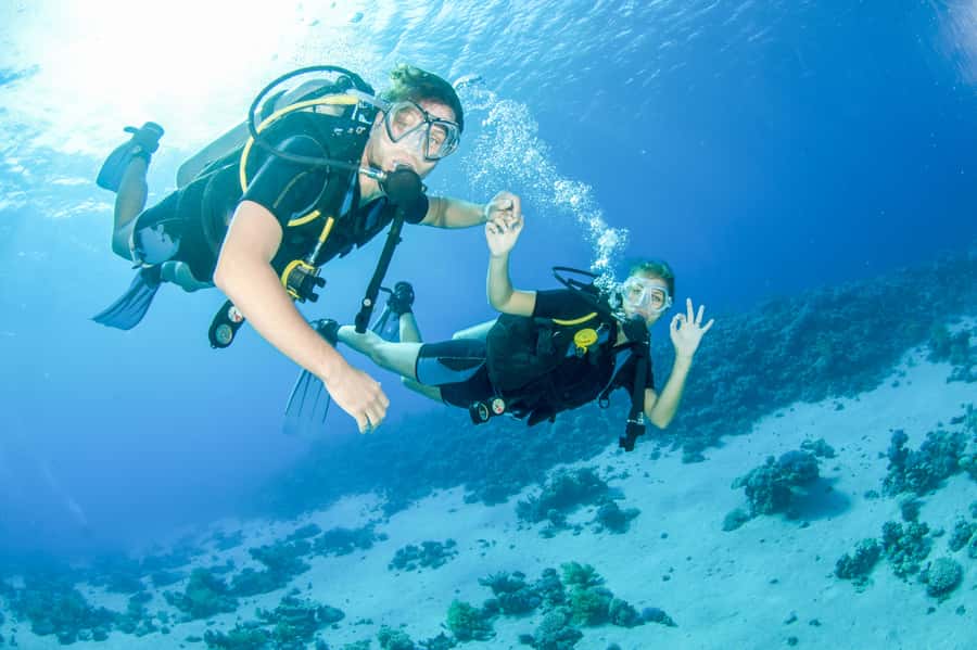 From Dubai: Discovery Scuba Diving & Snorkeling In Fujairah - Key points at a glance