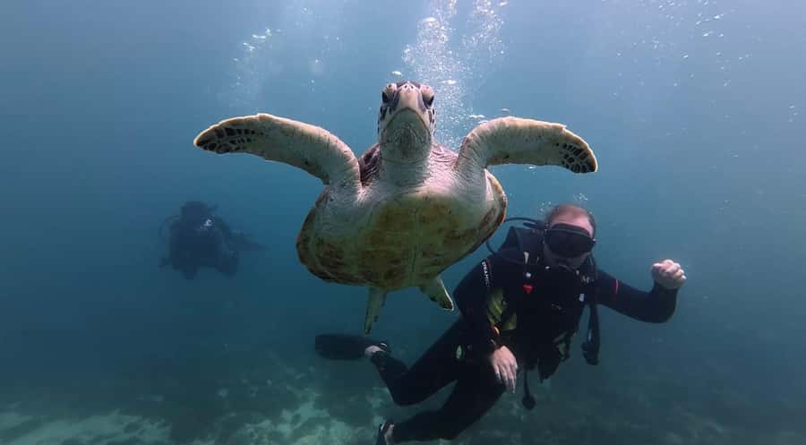 From Dubai: Discovery Scuba Diving & Snorkeling In Fujairah - What the $158 price really covers