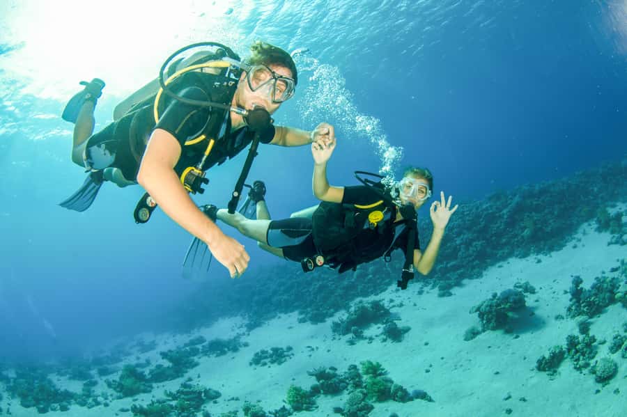 From Dubai: Fujairah Half-Day Scuba Dive and Snorkeling - Key Points Before You Book