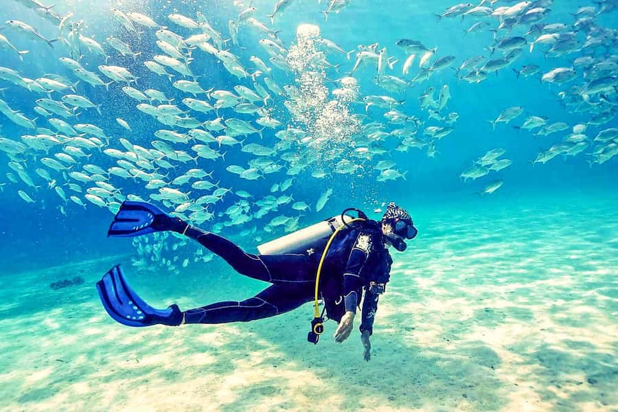 From Dubai: Fujairah Half-Day Scuba Dive and Snorkeling - The Boat Ride to Fujairah’s Coral Sites