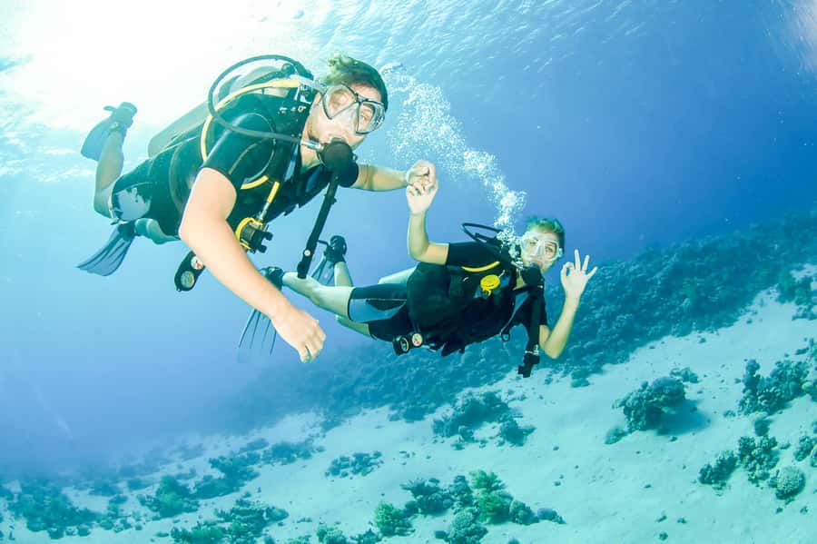 From Dubai: Fujairah Scuba Dive and Snorkeling - Why Fujairah makes a good change from Dubai