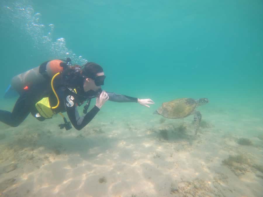 From Dubai: Fujairah Scuba Dive and Snorkeling - Who will enjoy this Fujairah outing most