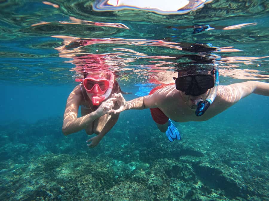 From Dubai: Fujairah Snorkeling with Turtles, Transfer & BBQ - The essential details at a glance
