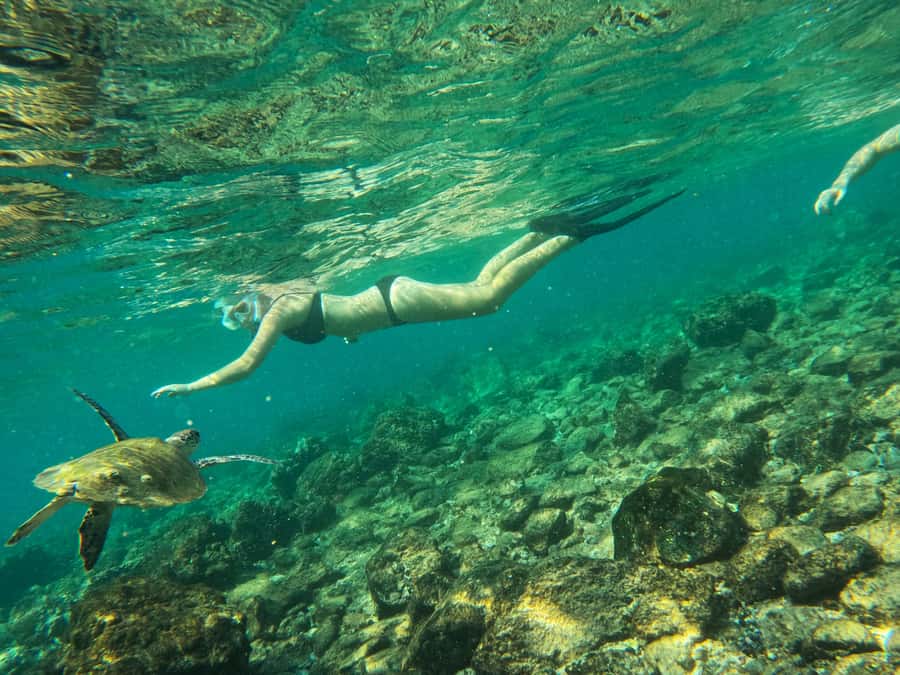 From Dubai: Fujairah Snorkeling with Turtles, Transfer & BBQ - Leaving Dubai for Fujairah