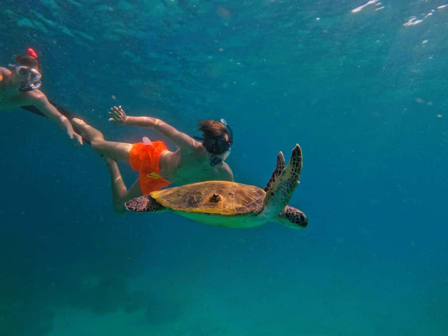 From Dubai: Fujairah Snorkeling with Turtles, Transfer & BBQ - Getting ready at the water-sports center