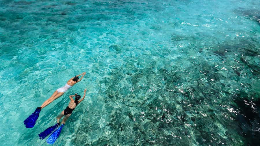 From Dubai: Snorkeling Trip to Dibba Al-Fujairah - Is the $111 price good value?