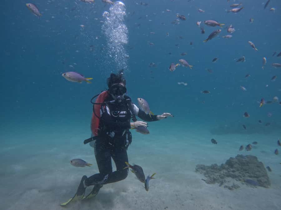 From Dubai: Try Scuba Diving, Snorkeling with BBQ & Transfer - Why Fujairah makes more sense than Dubai for this day