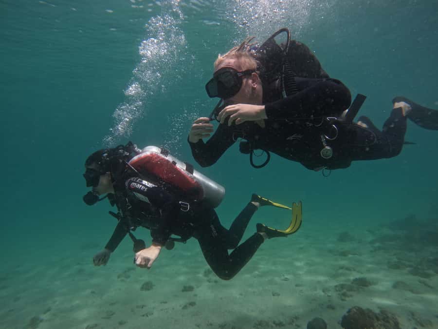 From Dubai: Try Scuba Diving, Snorkeling with BBQ & Transfer - Snoopy Island, fish, coral, and a chance of turtles
