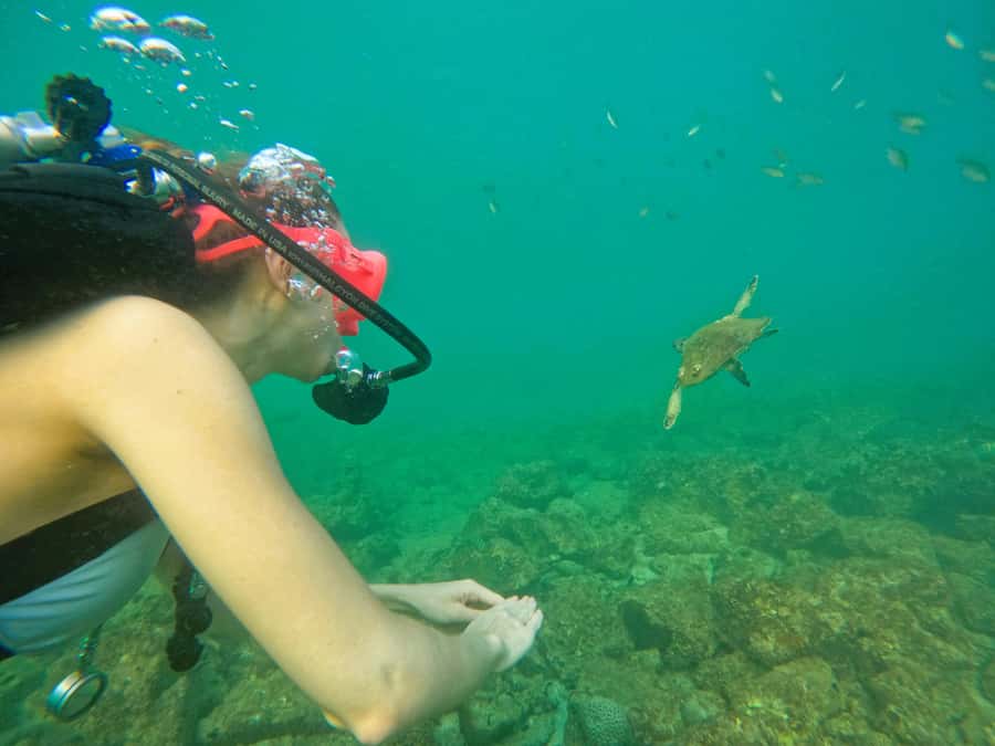 From Dubai: Try Scuba Diving, Snorkeling with BBQ & Transfer - Three short sightseeing stops on the way back